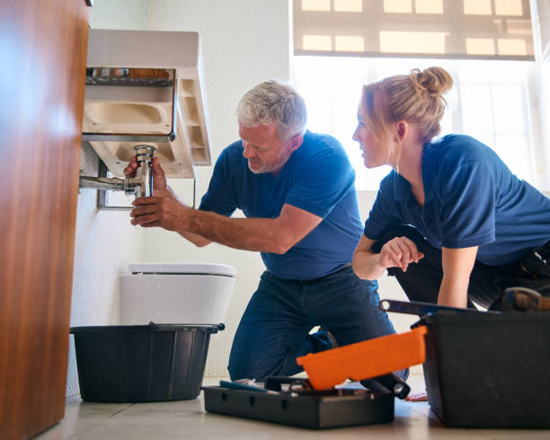 Best Affordable Plumbing Services  in North Brooksville, FL